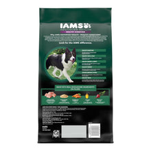 IAMS Advanced Healthy Digestion Adult Dry Dog Food Chicken & Whole Grains 6lb IAMS