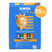 IAMS ProActive Health Healthy Enjoyment Dry Cat Food Chicken & Salmon 15lb IAMS