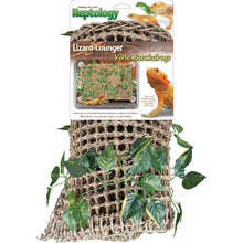 Penn-Plax Lizard Lounger Basking Platform with Vines Brown 1ea/23.5 In X 14 in