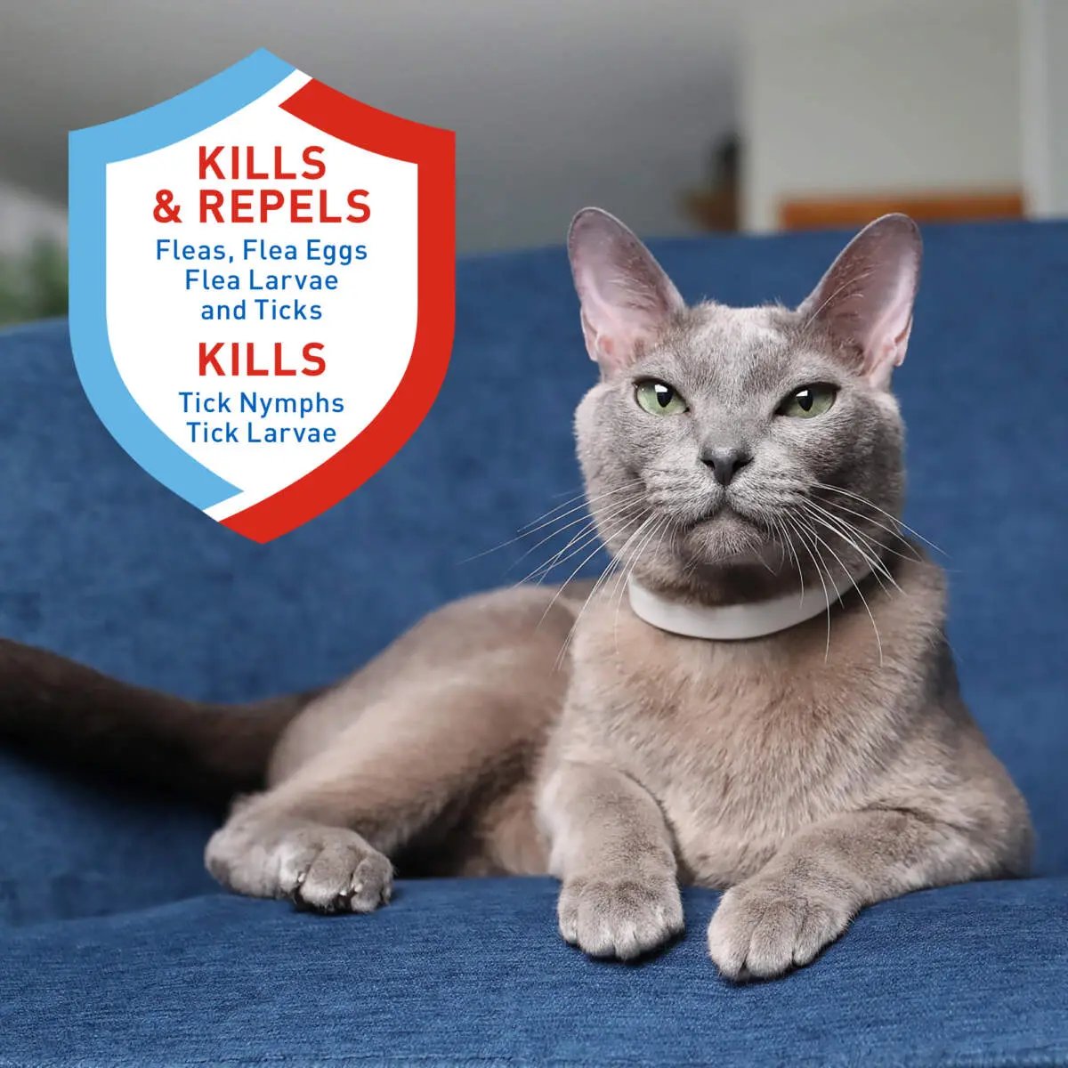 Adams Plus Flea  Tick Collar for Cats 1ea/1 pk Adams