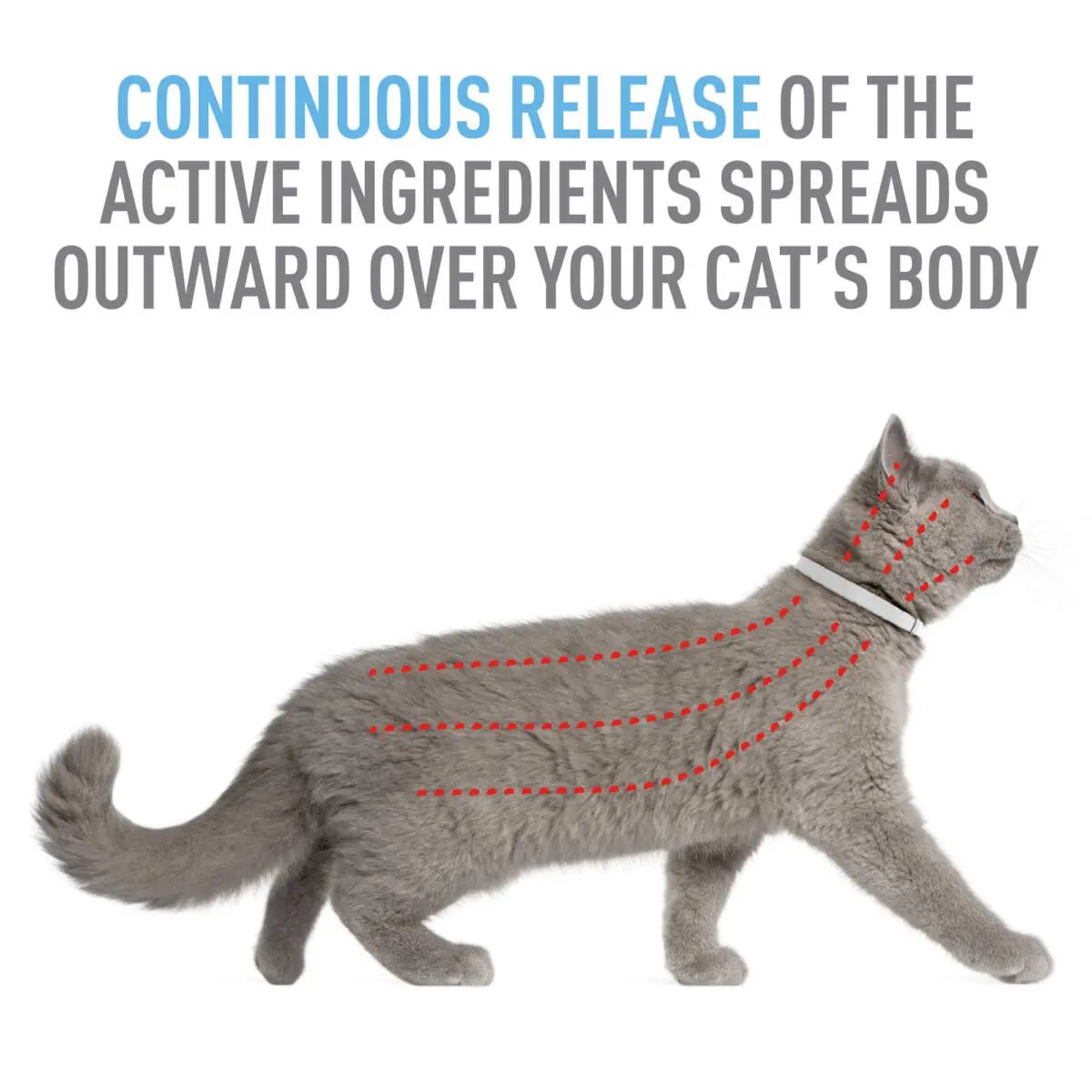 Adams Plus Flea  Tick Collar for Cats 1ea/1 pk Adams