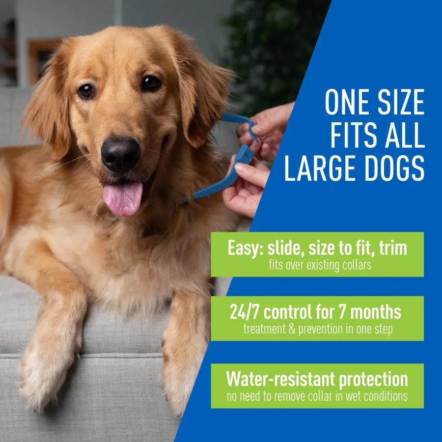 Adams Plus Flea  Tick Collar for Dogs, Small 1ea/Large Adams