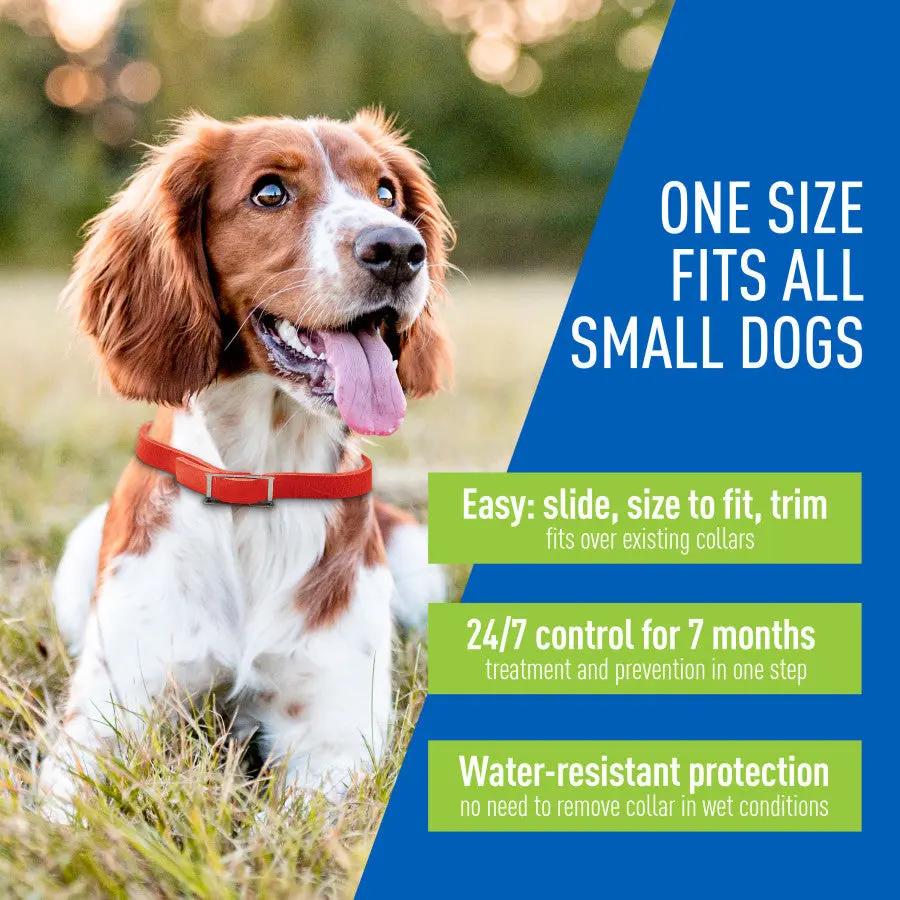 Adams Plus Flea  Tick Collar for Dogs, Small 1ea/SMall Adams