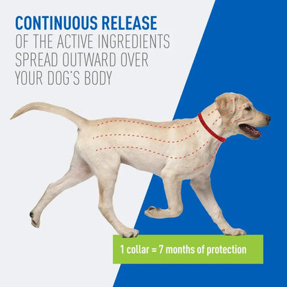 Adams Plus Flea  Tick Collar for Dogs, Small 1ea/SMall Adams