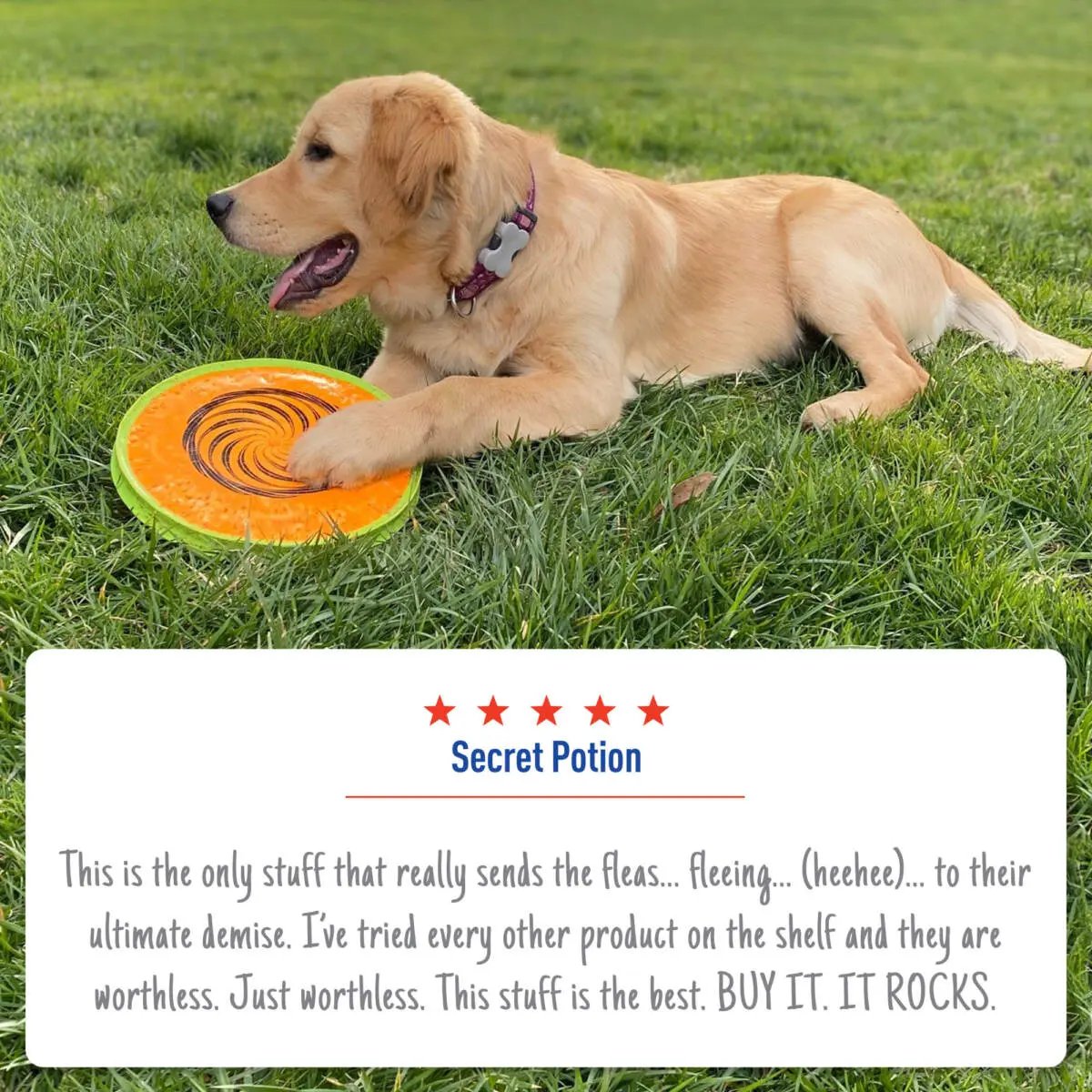 Adams Flea  Tick Dog and Cat Spray 1ea/32 fl oz Adams