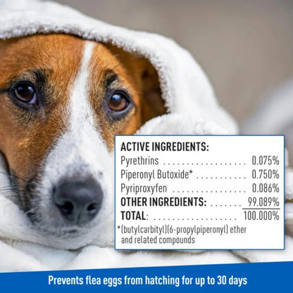 Adams Flea  Tick Cleansing Shampoo Clear, 1ea/12 oz Adams