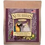 Lafeber Company Senior Bird Nutri-Berries Macaw & Cockatoo Food 1ea/10 oz Lafeber Company
