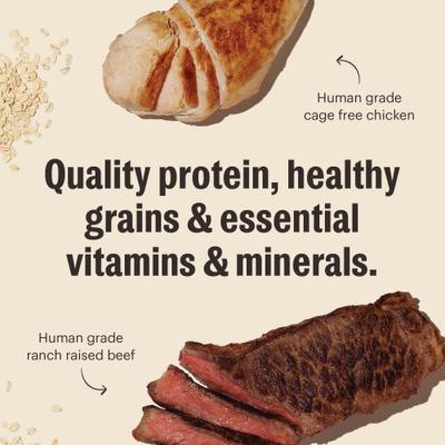 The Honest Kitchen Essential Clusters Whole Grain Beef & Chicken Dry Dog Food, 20-lb bag slide 9 of 10