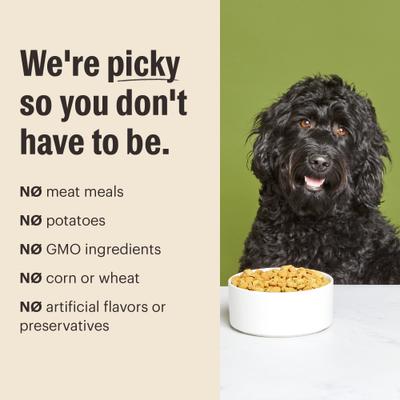 Show full view: The Honest Kitchen Essential Clusters Whole Grain Chicken Dry Dog Food, 20-lb bag slide 8 of 10