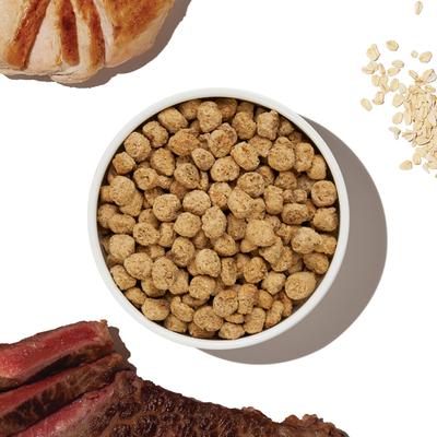 The Honest Kitchen Essential Clusters Whole Grain Turkey & Chicken Dry Dog Food, 20-lb bag slide 4 of 10