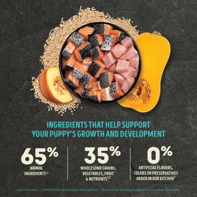 ACANA Wholesome Grains Puppy Sea & Farm Dry Dog Food, 4-lb bag slide 4 of 11