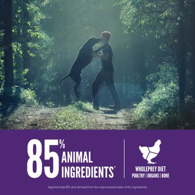 Show full view: ORIJEN Large Breed Adult Grain-Free High-Protein Dry Dog Food, 23.5-lb bag slide 6 of 12