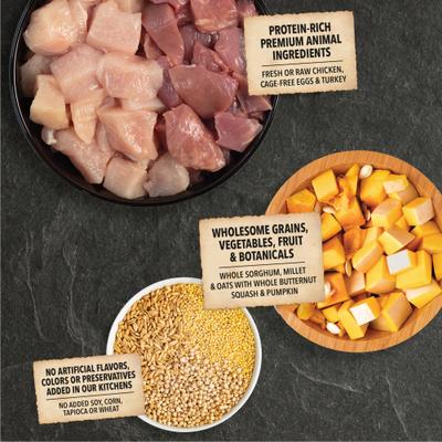 ACANA Wholesome Grains Puppy Real Chicken Eggs &Turkey Dry Dog Food, 22.5-lb bag slide 4 of 13