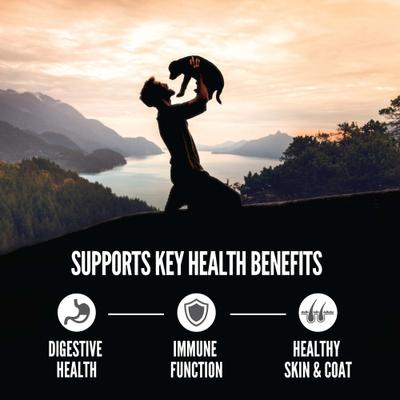 Show full view: ORIJEN Amazing Grains High-Protein Puppy Dry Dog Food, 22.5-lb bag slide 5 of 13