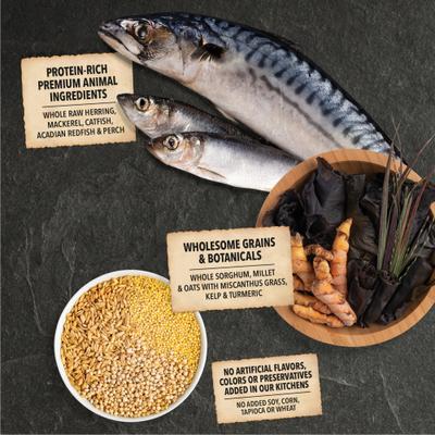 ACANA Sea to Stream Saltwater Fish Wholesome Grains Dry Dog Food, 22.5-lb bag slide 4 of 14