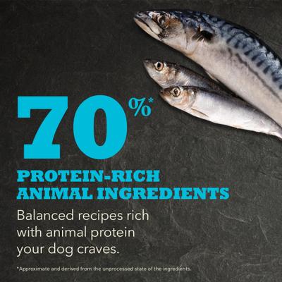 ACANA Wild Atlantic Highest Protein Grain-Free Dry Dog Food, 4.5-lb bag slide 4 of 14