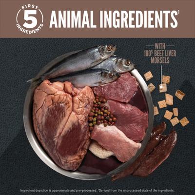 ORIJEN Wild Reserve Farm-Raised Beef & Lamb Dry Dog Food, 20-lb bag slide 4 of 12