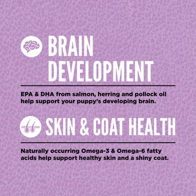 ORIJEN Puppy Large Grain-Free High-Protein Dry Dog Food, 23.5-lb bag slide 5 of 14