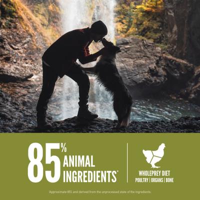 Show full view: ORIJEN Senior Grain-Free High-Protein Dry Dog Food, 23.5-lb bag slide 6 of 14