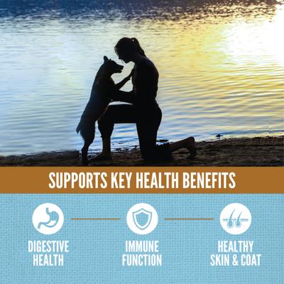 ORIJEN Amazing Grains Six Fish High-Protein Dry Dog Food, 22.5-lb bag slide 5 of 13