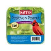Kaytee Positively Peanut High Energy Mini Suet 1ea/11 oz