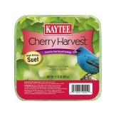 Kaytee Cherry Harvest High Energy Suet 1ea/11.75 oz