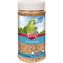 Kaytee Oat Groats Treat Jar-- All Pet Birds 1ea/11 oz Kaytee