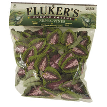 Fluker's Purple Coleus Repta-Vines Green, Purple 1ea/6 ft