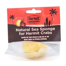 Fluker's Hermit Crab Natural Sea Sponge Yellow 1ea