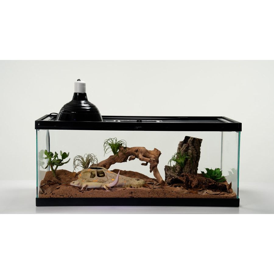 Zilla Rapid Sense Decor Large Crocodile Skull 1ea/Large