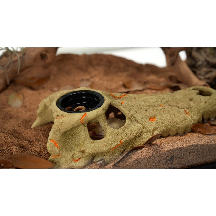 Zilla Rapid Sense Decor Large Crocodile Skull 1ea/Large