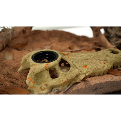 Zilla Rapid Sense Decor Large Crocodile Skull 1ea/Large