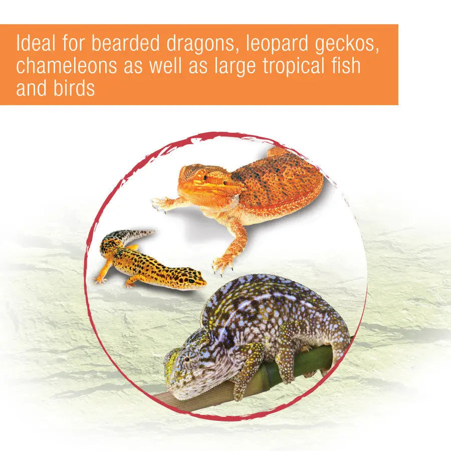 Zilla Reptile Munchies Mealworm 1ea/Resealable Bag, 3.75 oz Zilla