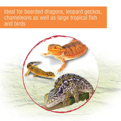 Zilla Reptile Munchies Mealworm 1ea/Resealable Bag, 3.75 oz Zilla