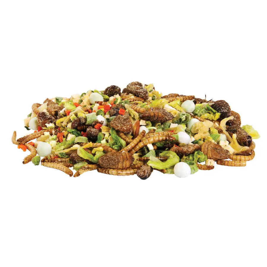 Zilla Reptile Munchies Omnivore 1ea/.7 oz Zilla