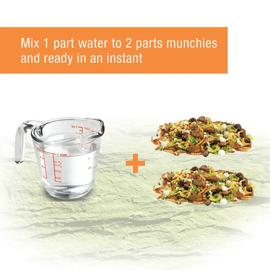 Zilla Reptile Munchies Omnivore 1ea/.7 oz Zilla
