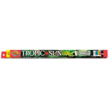 Zoo Med Tropic Sun 5500K Daylight T8 Lamp White 1ea/18 in