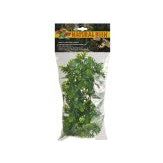 Zoo Med Natural Bush Amazonian Phyllo Plants Green 1ea/18 in, MD