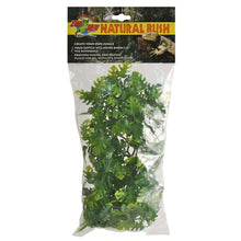 Zoo Med Natural Bush Amazonian Phyllo Plants Green 1ea/18 in, MD