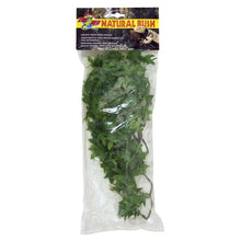 Zoo Med Natural Bush Congo Ivy Plants Green 1ea/18 in, MD