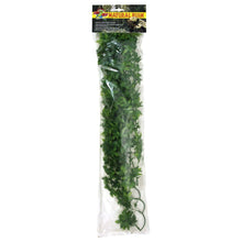 Zoo Med Natural Bush Congo Ivy Plants Green 1ea/22 in, LG