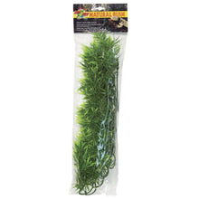 Zoo Med Natural Bush Madagascar Bamboo Plants Green 1ea/22 in, LG