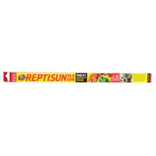 Zoo Med ReptiSun 10.0 UVB T8 Fluorescent Lamp White 1ea/18 in