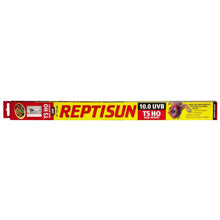 Zoo Med ReptiSun 10.0 UVB T5 HO High Output Lamp White 1ea/22 in