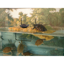Zoo Med Turtle Dock Basking Platform Brown 1ea/MD