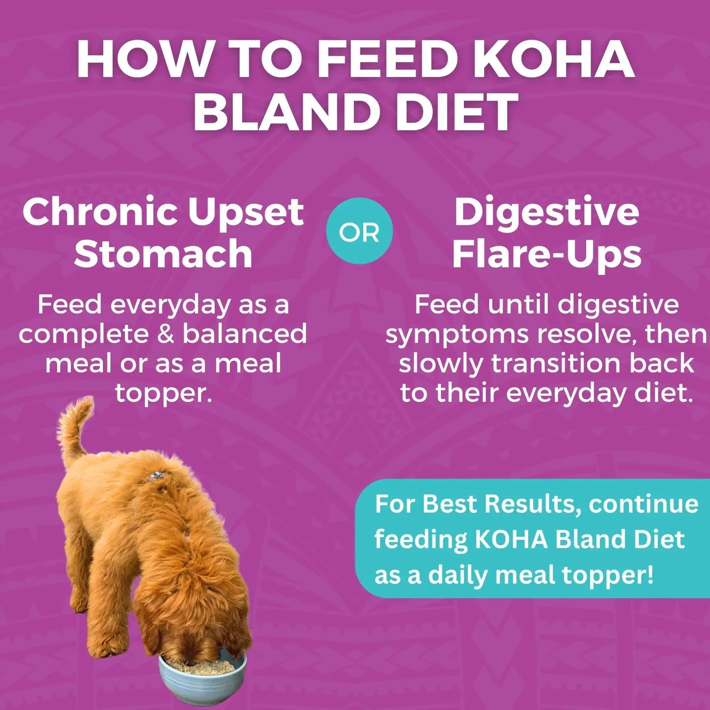 Koha Dog Bland Diet Beef Rice 12.5oz. (Case of 6) Koha