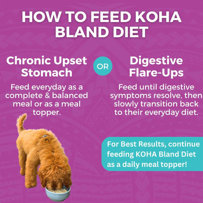 Koha Dog Bland Diet Beef Rice 12.5oz. (Case of 6) Koha