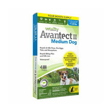 Vetality Avantect II Flea & Tick For Dogs 1ea/0.164 fl oz, 4 ct Vetality