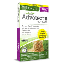 Vetality Advotect II Cat Flea Treatment 1ea/Cats 5-9 lb, 6 Doses Vetality