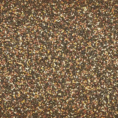 Kaytee Songbird Treat Jar -- Canary & Finch 1ea/9 oz Kaytee